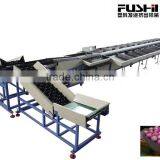 Electrical Fruit Grading Machine thumbnail-1