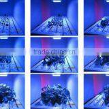 Portable Grow Led 600 for Hospital thumbnail-2