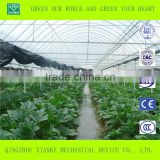 Multi-Span Commercial Fiberglass Greenhouses