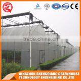 Agriculture Farming/equipment Greenhouse Plastic Film for Plant Vegetable and Flowers Made in China thumbnail-6