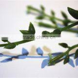 Home Garden Decoration 40cm Height Green Lover Tears Grass Vine EQRL04 0804 thumbnail-3