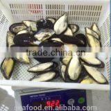 Frozen Precooked Half Shell Blue Mussel thumbnail-2