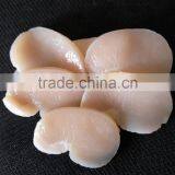 Frozen Seafood Sea Scallop New Prodcued for Sale thumbnail-2