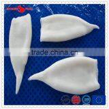Frozen IQF High Quanlity Pacific Squid Tube thumbnail-3