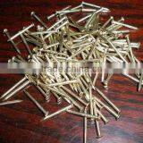 Brass Nails thumbnail-1