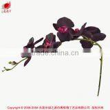 Real Touch Artificial Orchid Iris Flower for Indoor and Outdoor Decoration thumbnail-4