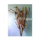 Skin Guli Dali Sola Handmade Deco Bunches thumbnail-1