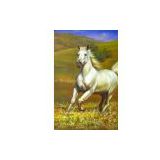 Horse Oil painting