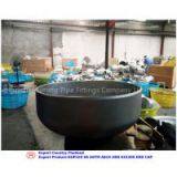 DUPLEX SS ASTM A815 UNS S32205 END CAP thumbnail-1