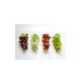 Artificial GrapeS,Plastic Grapes(FHL36B2) thumbnail-1
