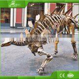 KAWAH High Quality Skeleton Replica Authentic Dinosaur Fossils For Sale thumbnail-3