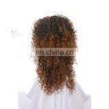 Styler Brand Synthetic Curly Cosplay Party Wig Indian Women Hair Wig thumbnail-2