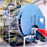 steam boiler with burner