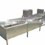 Automatic High Pressure Washer/commercial Fruit Vegetable Washer/leafy Vegetable Washing Machine Prices thumbnail-3