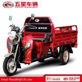 Gasoline Tricycle Cargo Loader Lovol Three Wheeler Mali Ethiopia Ghana Bukina Faso Tanzania Kenya Senegal Togo Benin Nigeira Mauritania Angola Burundi Chad Cameroon C ô te D'Ivoire Gabon Guinea Mozambique Rwanda Congo Uganda Zimbabwe thumbnail-4