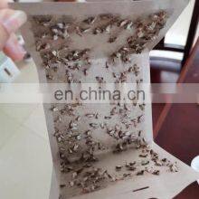 Moth House Borer Moth Rice Flour Moth Insect Trap Factory Wholesale Good Quality Closet Indoor and Outdoor TRAPS 2 Year 7-15days thumbnail-3