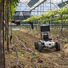 Multifunctional modular chassis for agricultural use