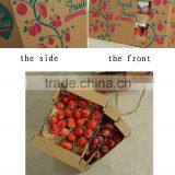 Corrugated Carton Box for Fresh Fruit and Vegetable Packaging thumbnail-2