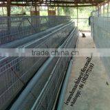 CN manufacture wholesale Automatic chick cage For poultry farming equipment