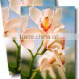 Satin Eco-Solvent 100% Polyester Inkjet Canvas 240gsm