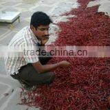 Gunter S-17 Teja Chillies for Stem and Stemless thumbnail-6