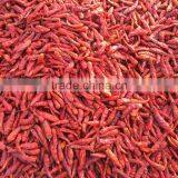 Vietnam Dried Red Hot Chilli thumbnail-4