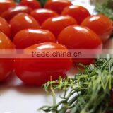 Best Selling Jarred Big Tomatoes 720ml, Red Colour, Good Taste by HAGIMEX thumbnail-1