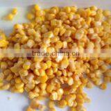 CANNED SWEET CORN,SWEET CORN KERNEL GOOD TASTE