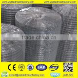 Galvansize & PVC Coated Welded Wire Mesh