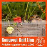 Protection Bird Nets for Strawberry