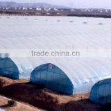 Greenhouse Kenya thumbnail-1