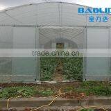 BaoLiDa Cheap Tunnel Greenhouse Agricultural Plastic Film Greenhouse thumbnail-2