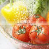 Multipurpose Water Air Home Ozone Sterilizer 800 Mg/h for Wash Vegetable and Fruits thumbnail-5