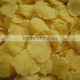 Corn Flakes Machine/ Breakfast Cereals Machine/corn Flakes Production Line by Leading Supplier Since2005