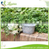 High Quality Popular Special White Outdoor Decoration Small Metal Planter Oval Iron Flower Pot for Home thumbnail-1