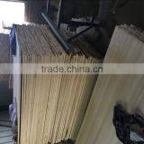 Poplar Lumber Prices /poplar Board thumbnail-1