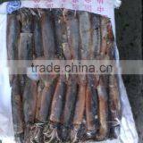 Indian Products of Illex Squid thumbnail-1