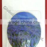 Popular Plastic Adhesive Decorative Wall Hook thumbnail-3