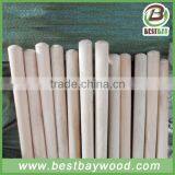 Hot Sale Wooden Broom Stick 25 Containers per Month thumbnail-2