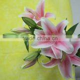 Best Selling Flower Adorable Fresh Cut Lily Mother's Day Gift Natural Lily From Yunnan thumbnail-5