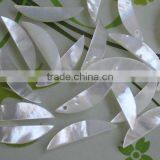 Natural Semi Round Shape Whtie Pearl Shell Charms Diy White Pearl Shell Sticker Pendant Wholesale Jewelry Accessories thumbnail-3