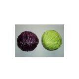 Artificial Vegetable & Cabbage thumbnail-1