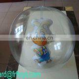 inflatable beach ball with toy inside