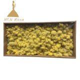 Hot Selling Green Moss Grass Wall for Decoration thumbnail-5