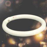 Chinese Factory Supply New Design Energy Saving T6 Circle Lamp, Light