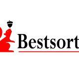 Hebei Bestsort Machinery Technology Co., Ltd.