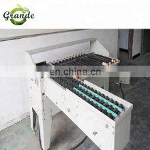Grande Best Selling High Efficiency Automatic Egg Electric Sorting Machine thumbnail-2