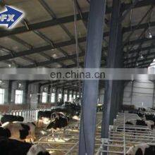 Prefabricated Construction Galvanized Steel Structure Poultry Farm Plan thumbnail-4