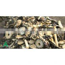 Dried Peel Pineapple Meals -Fermented Pineapple -- Fermented Corn Silage thumbnail-3