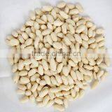 Roasted&salted Peanut Roasted Peanut thumbnail-3